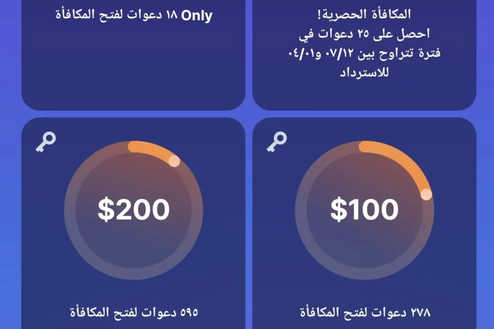الربح من الباي بال